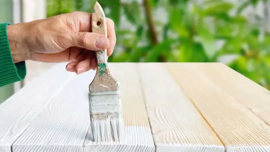 sơn gỗ màu trắng không mùi