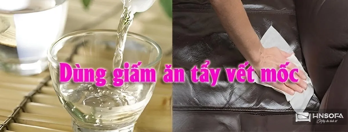 Giấm ăn pha loãng giúp vệ sinh ghế sofa da bị mốc hiệu quả