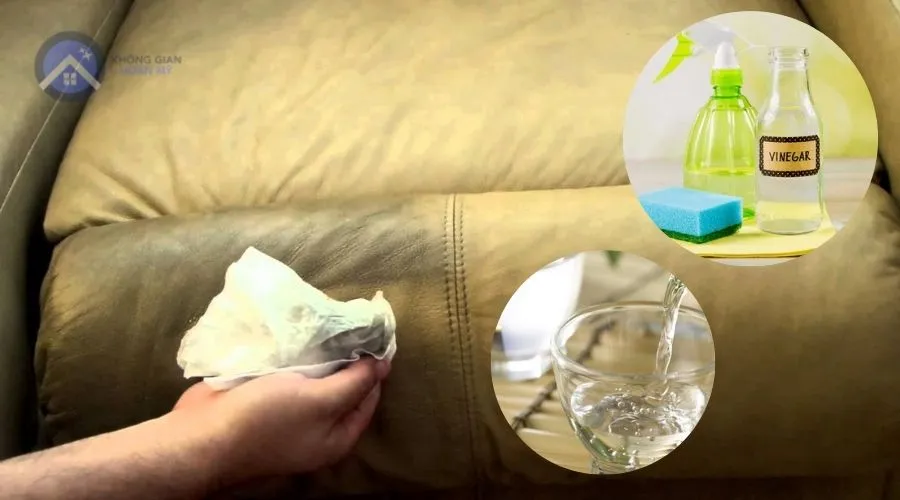 Sử dụng giấm và rượu là một cách làm sạch ghế sofa da rất hiệu quả