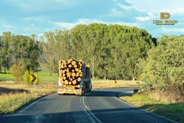 Vai trò chiến lược của gỗ Châu Phi trong ngành sản xuất nội thất gỗ tự nhiên tại Việt Nam