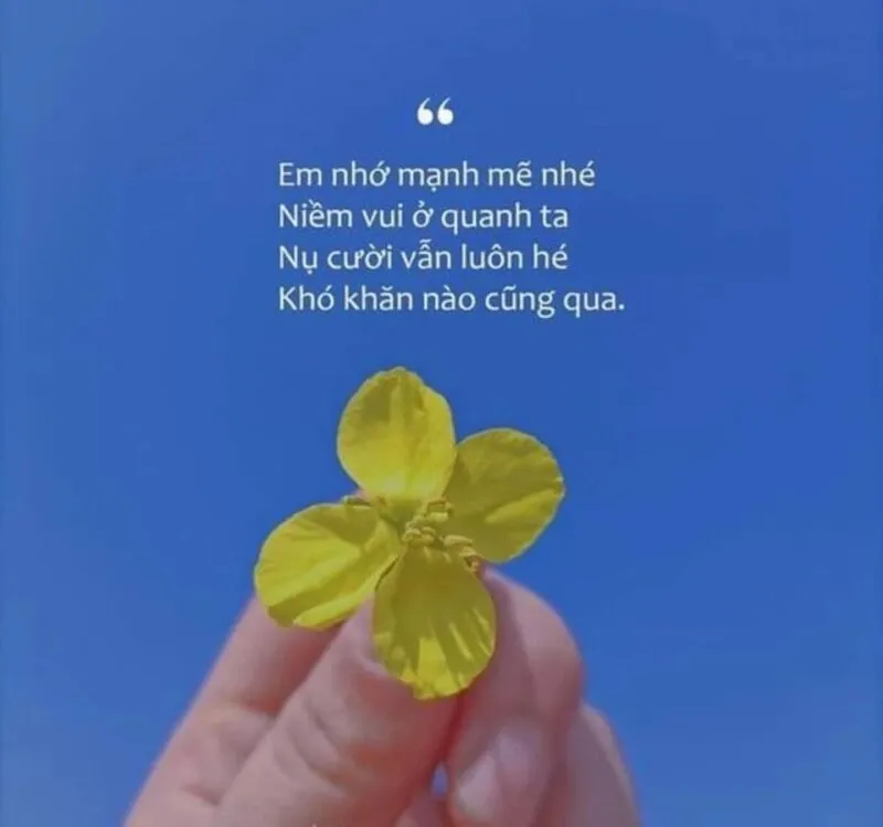 Ghế Sofa Hiện Đại và Bàn Trà Gỗ Tinh Tế Cho Không Gian Sống Đẳng Cấp