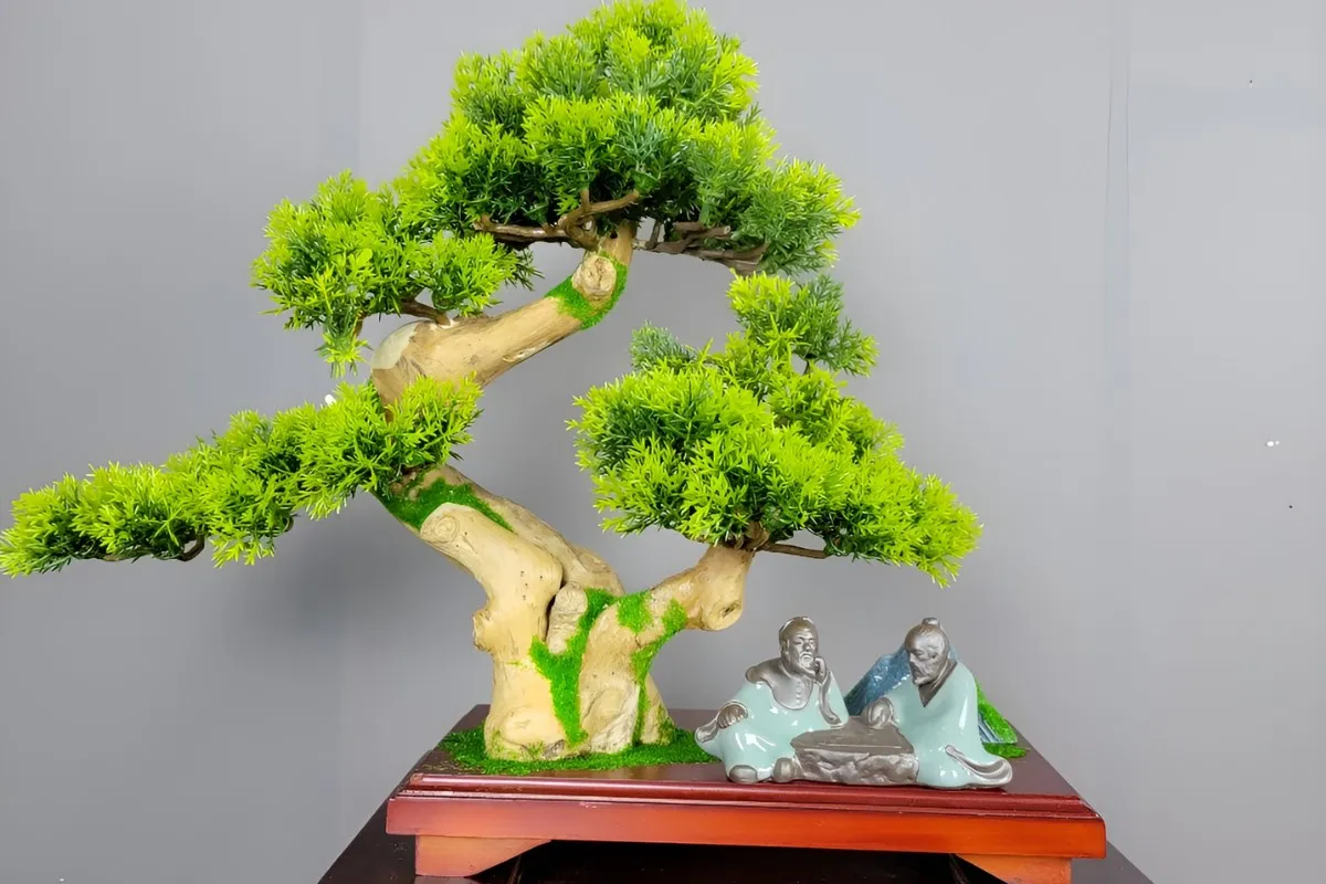 Tiểu cảnh Bonsai mini để bàn làm việc mang trong mình hình dáng, vẻ đẹp hài hòa của tự nhiên