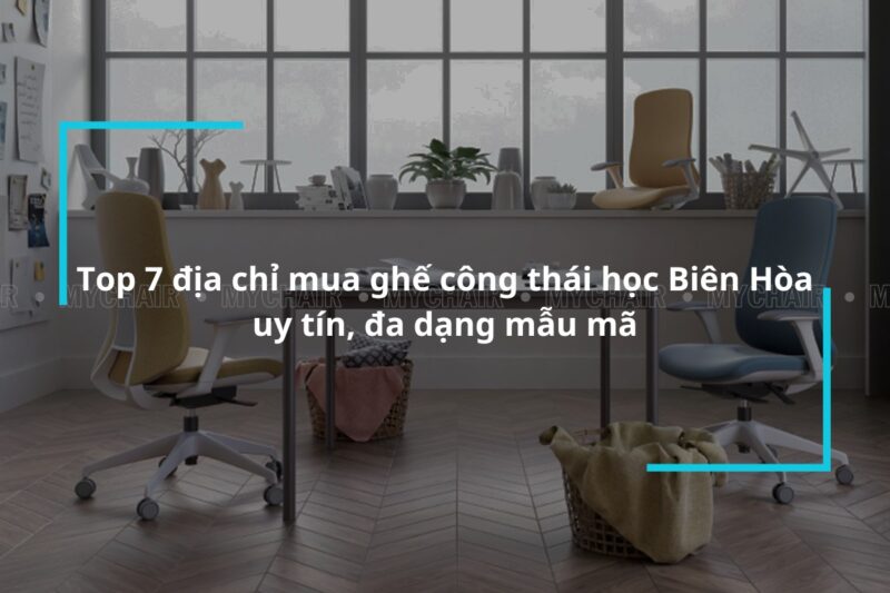 Ghế Bệt Tựa Lưng Hà Nội: Top 7 Mẫu Đẹp, Bền và Địa Chỉ Mua Uy Tín 2024