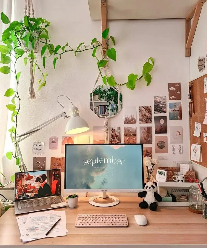 trang trí bàn học bằng cây xanh