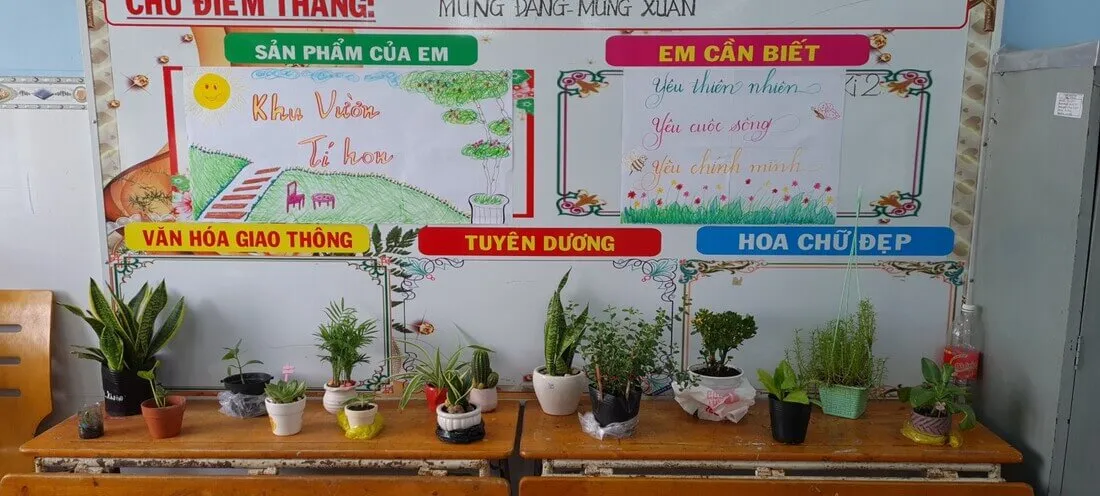 trang trí lớp học tiểu học nhiều cây xanh