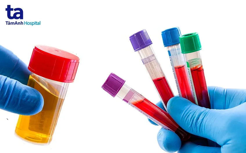 Bàn học gỗ tự nhiên của Hòa Phát, thể hiện độ bền và tính thẩm mỹ cao