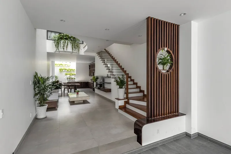 Vách ngăn cầu thang phòng khách kết hợp cây cảnh