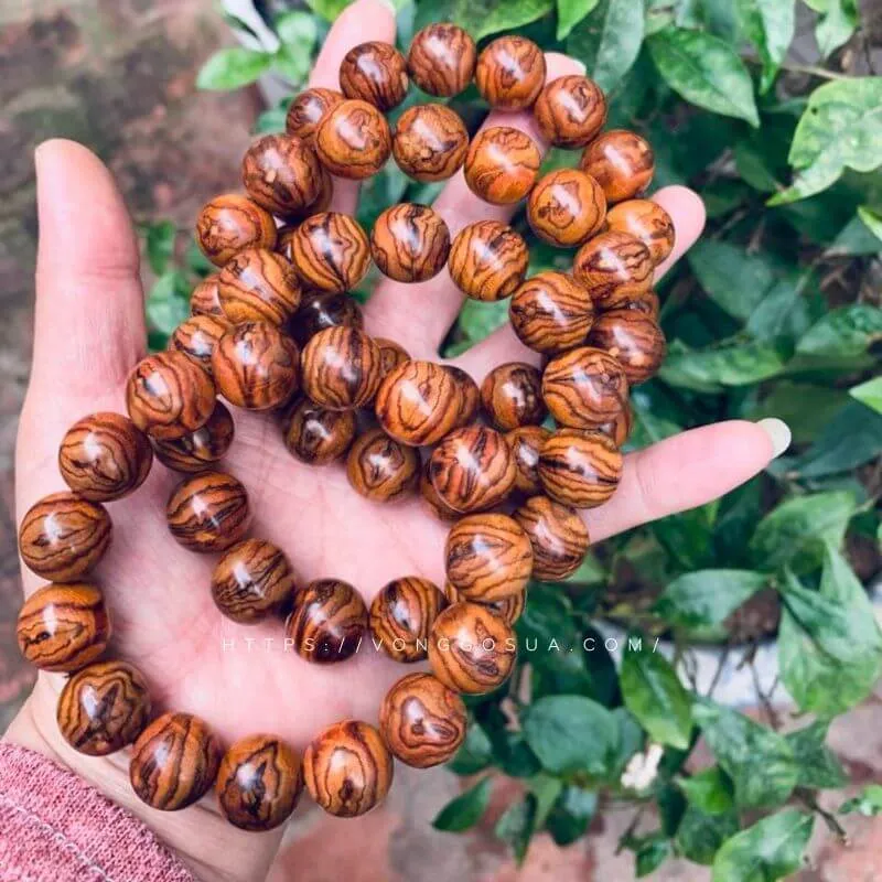 Hạt gỗ sưa Bắc tròn đều với độ bóng tự nhiên rất cuốn hút