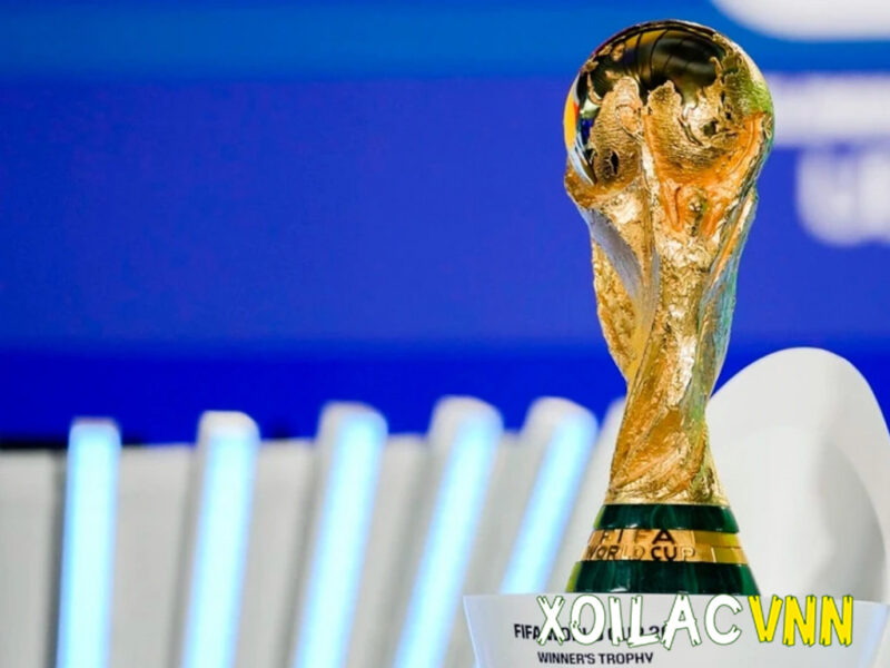 Bàn Luận Về Bạo Lực Học Đường: 5 Khía Cạnh Chuyên Sâu Cần Hiểu Rõ