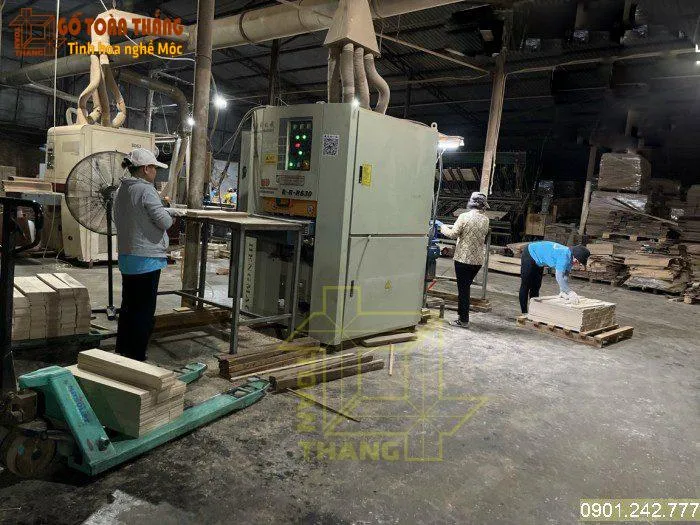 Xưởng sản xuất gỗ với máy móc hiện đại