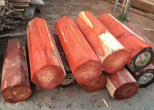 Gỗ hương đỏ Việt Nam với vân gỗ rõ nét và màu đỏ nâu đặc trưng