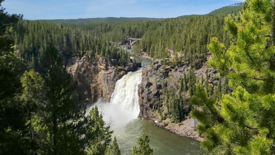 Các Mẫu Bàn Ăn Đẹp Bằng Gỗ Tự Nhiên Xu Hướng 2024: Phân Tích Chuyên Sâu Về Chất Liệu Và Thiết Kế