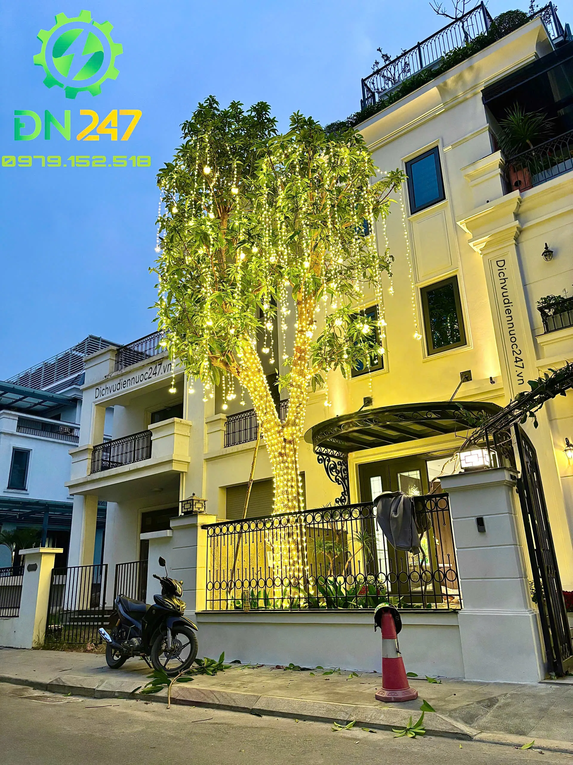 Phong cách trang trí đèn LED kiểu thả hoa cho cây lộc vừng